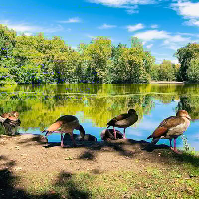 Promenade au bord de l’eau…🚶‍♂️🧘‍♀️ 😋
