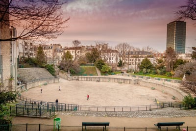 Quand Paris s'appelait LUTECE