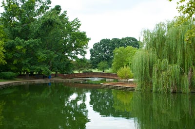 Marche nordique entre Colette (Jardin des Plantes)