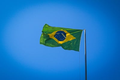 Ambiance brésilienne au jardin ! 🇧🇷🌿