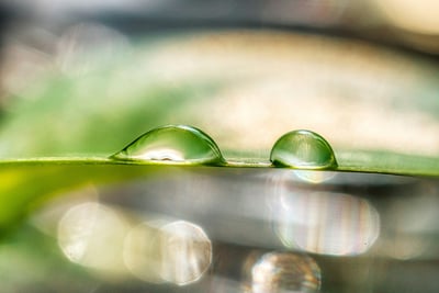 Salon de la Médecine Douce : Un Moment Zen 