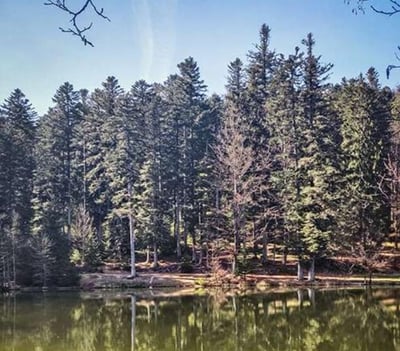 Marche de Fréconrupt à l’Etang du coucou