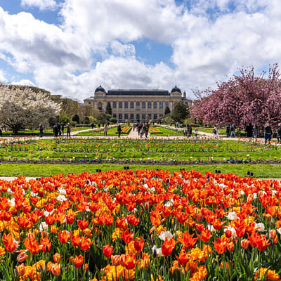 Une pause au jardin des plantes