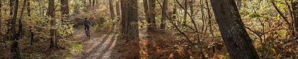 🥾 Immersion Nature en Forêt Domaniale de Bouconne