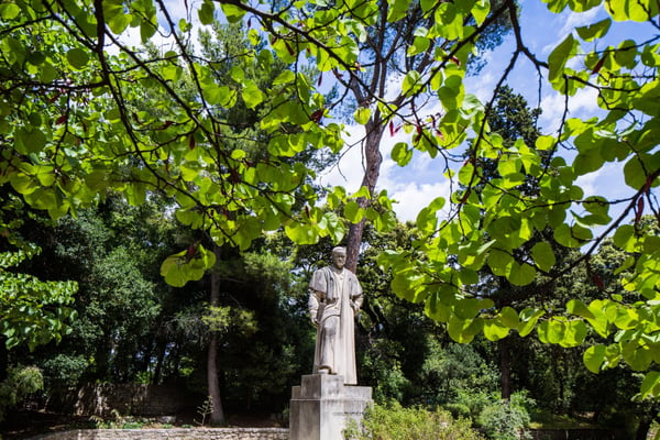 🌿 Visite guidée du Jardin des Plantes de Montpellier