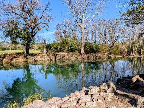 🌿 Marche Douce le long des Rives du Lez (Départ Antigone)