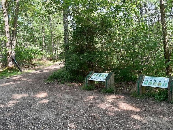 🥾 Bol d'Air Pur en Forêt de Notre-Dame