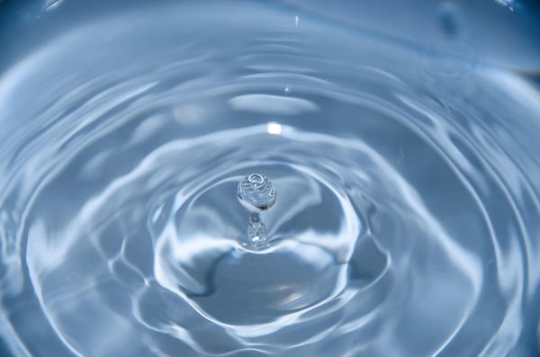 Cercle des photographes éclairés : " l"eau"