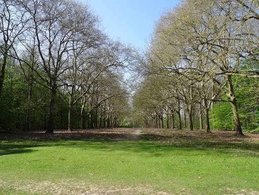 Pique-nique entre membres au parc de Villeroy