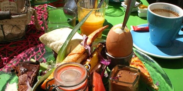 Dîner convivial au pré vert