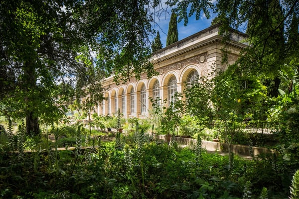 Balade ombragée au jardin des plantes
