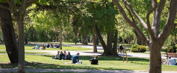 Balade paisible au parc jourdan