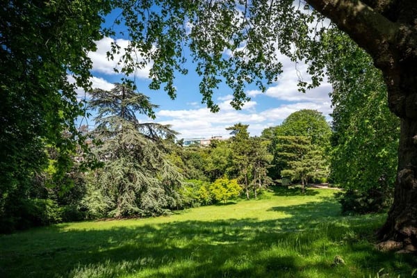 Marche nordique au Parc Montsouris
