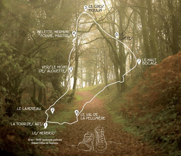 🥾 Randonnée & Nature : Le Sentier des Alouettes à Corbas