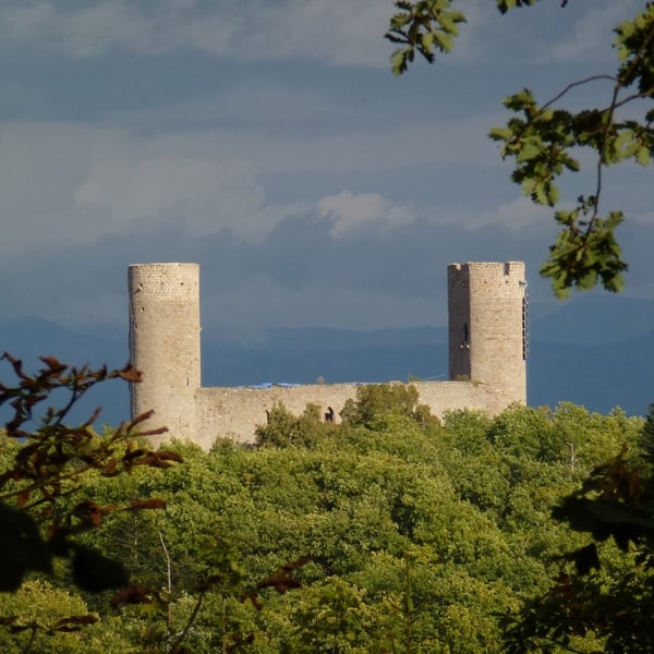 Rando entre les Châteaux du Spesbourg et d'Andlau
