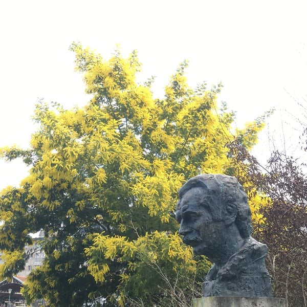 Balade musicale sur les pas de Georges Brassens à Plaisance