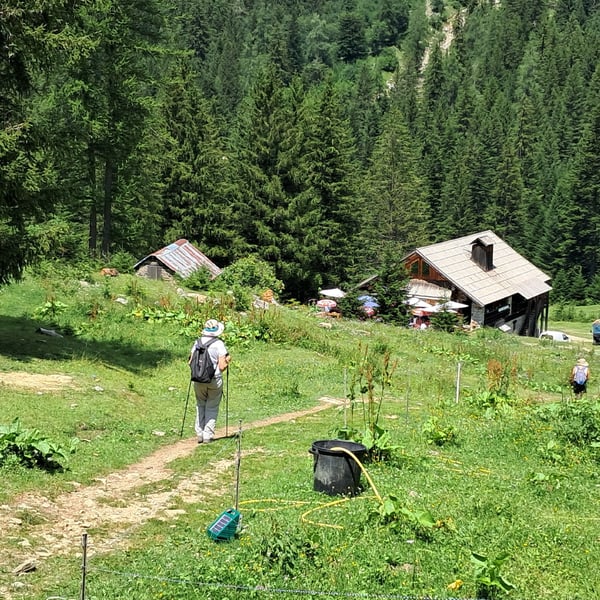 Randonnée et Déjeuner à l’Alpage du Boréon