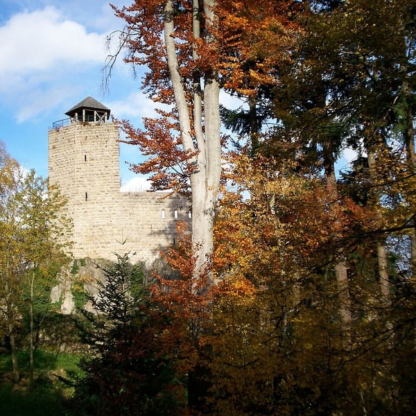 Rando entre vignoble et château à Dambach-la-Ville (67)