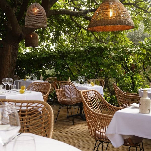 Dîner sous les oliviers à l’Autobus
