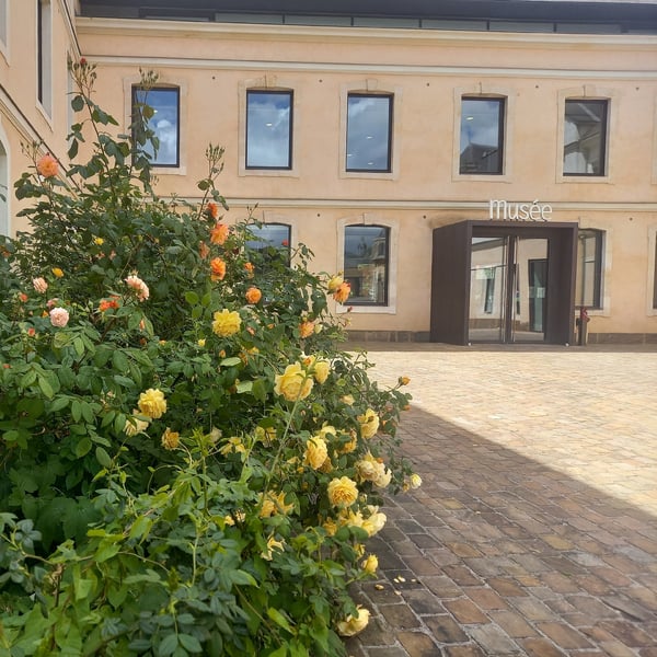 Visite guidée au Carré Plantagenêt - Le Mans