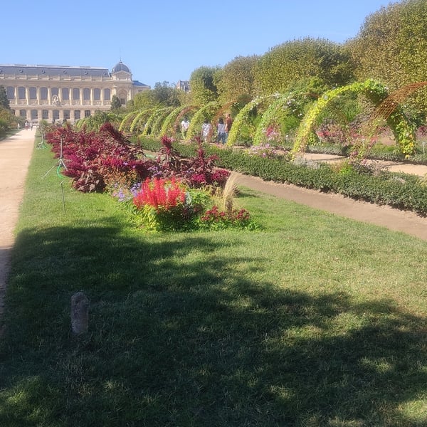 Marche nordique au Jardin des plantes