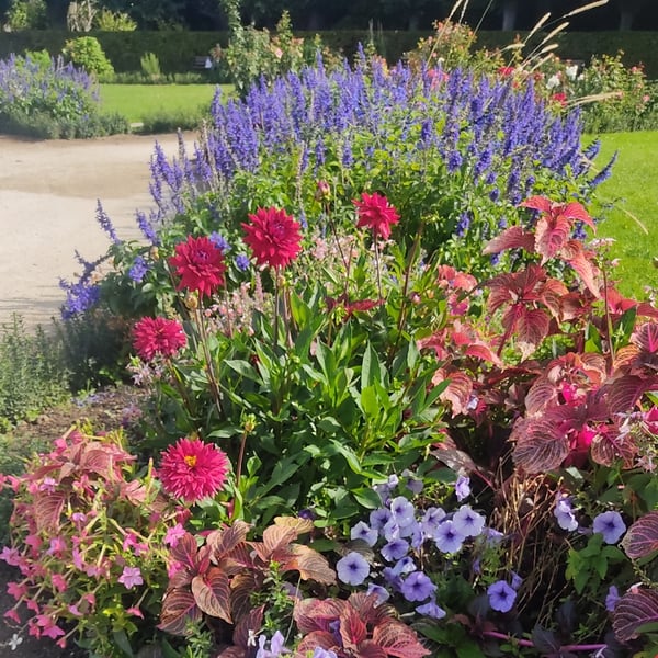 Marche nordique au Jardin des plantes