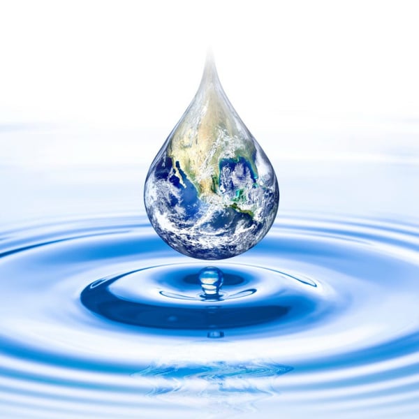 Conférence sur L’eau aux petites cantines de Perrache