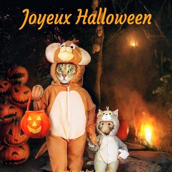 HALLOWEEN AV MIMOSA. DANSER S'AMUSE SOURIRE
