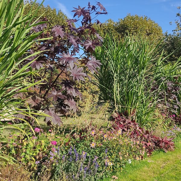 Marche nordique au Jardin des plantes