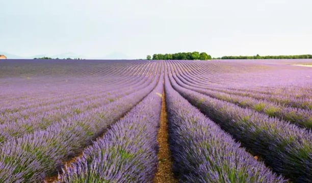 Apaiser son stress et retrouver sa sérénité