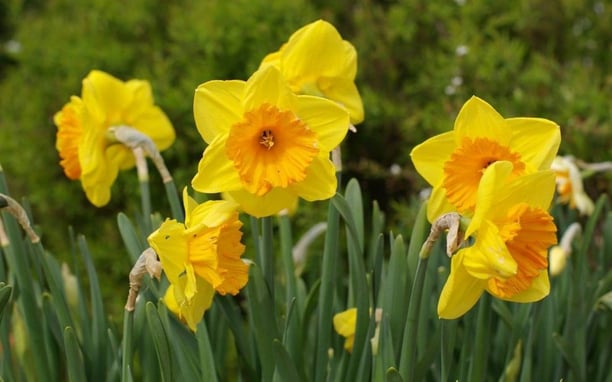 Marcher au parc tête d'or garder la forme