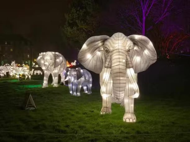 Apéro et Odyssée lumineuse au parc floral de Paris à Vincennes