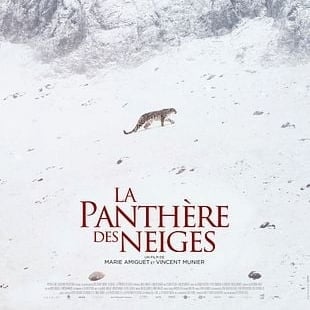 La Panthère des Neiges, film de Marie Amiguet et Vincent Munier (2021) à l'auditorium du MAMCS de Strasbourg