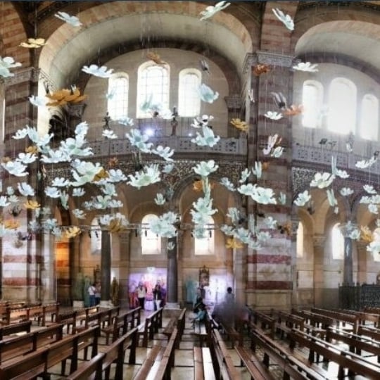 Lumières Célestes à la Major