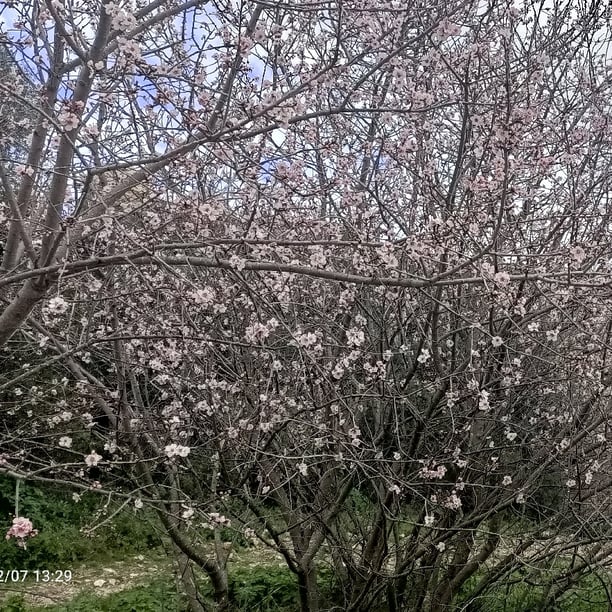 Cathy/Initiation au Qi Gong Santé Parc Castel des deux Rois