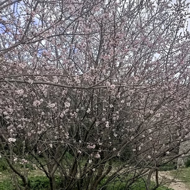 Cathy/Initiation au Qi Gong Santé Parc Castel des deux Rois
