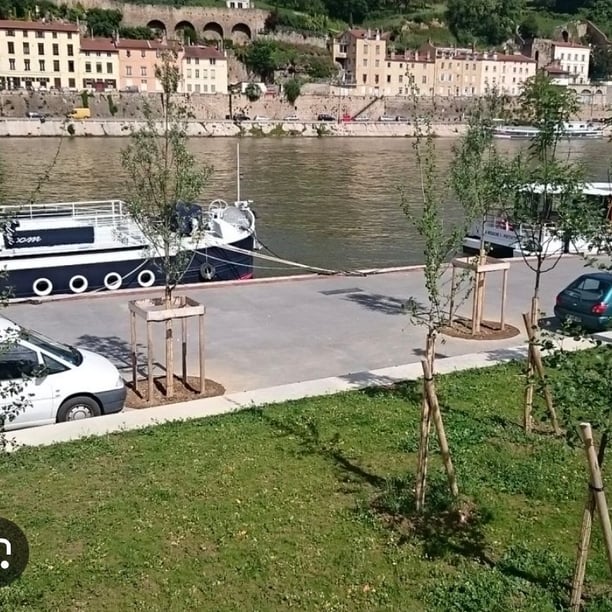 balade citadine quais confluence