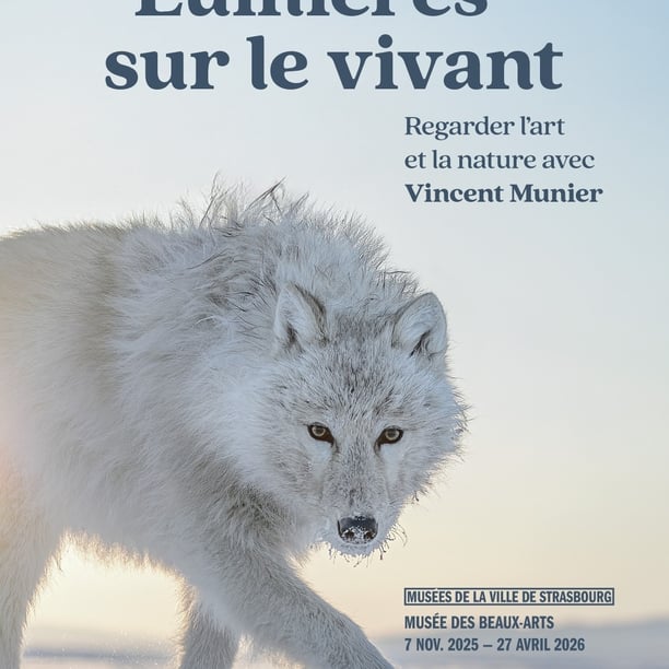 Lumières sur le Vivant (Vincent Munier)-Visite Guidée hors sentiers battus
