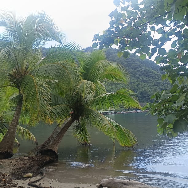 REPAS DU MIDI Escale en Polynésie… chez Mymie !