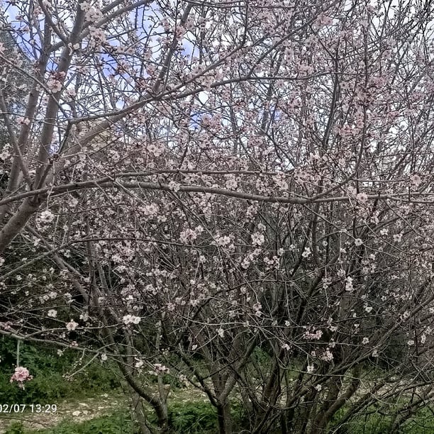 Cathy/Initiation au Qi Gong Santé Parc Castel des deux Rois
