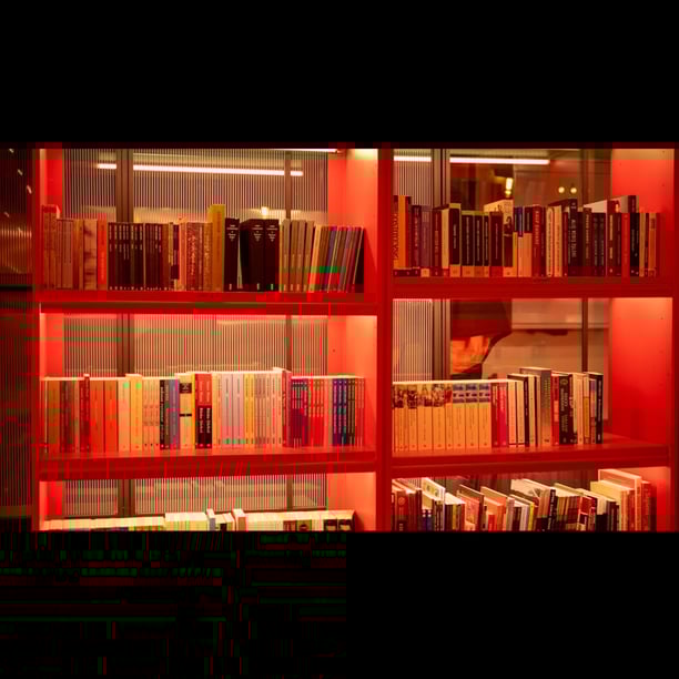 BookClub Spécial Amelie Nothomb