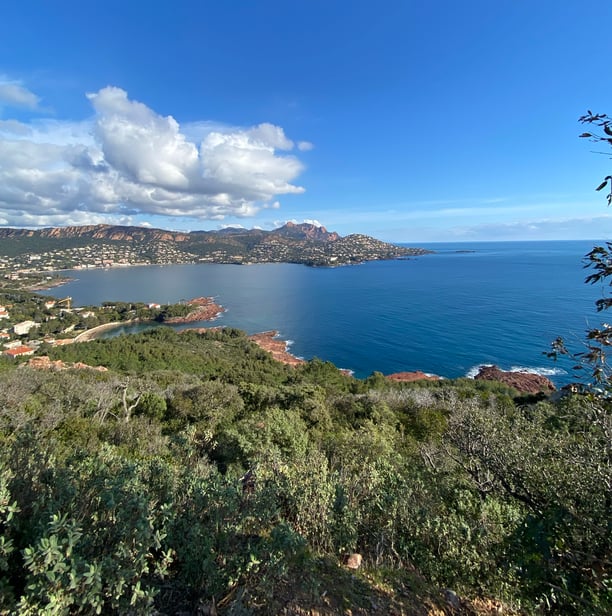 Randonnée au Cap Martin et Déjeuner