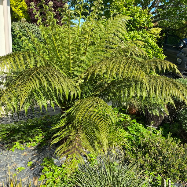 Balade au jardin Serre de la Madone