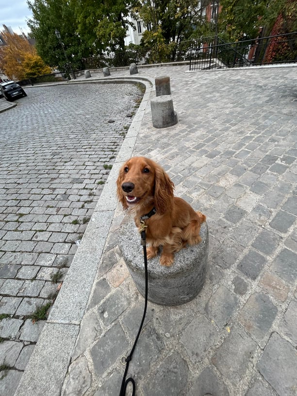 Cercle des photographes amusés : “Vue quotidienne”