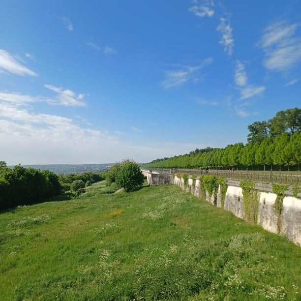 Balade sur la terrasse et forêt de St Germain en Laye