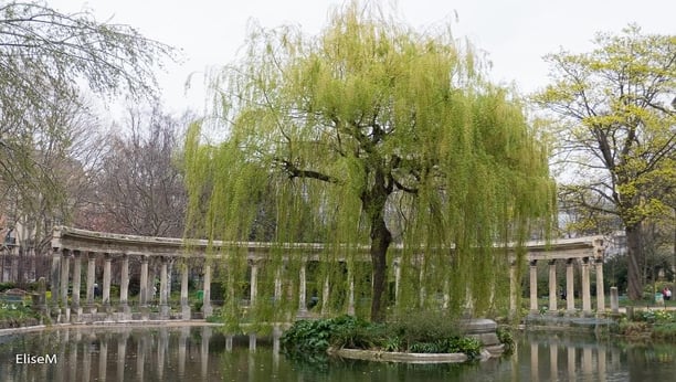 Visite guidée: Parc Monceau et hôtels particuliers alentours