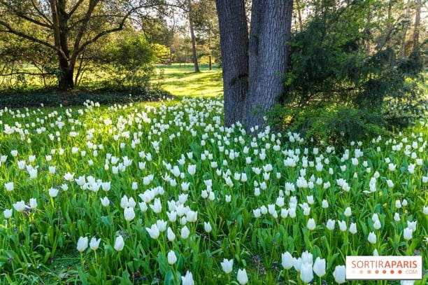 Balade du Printemps au Jardin de Bagatelle 🌷🌻🌺