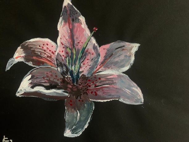 Dessiner une nature morte.