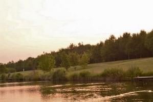 🌿 Balade ultra tranquille – 2 km/h max 🌿