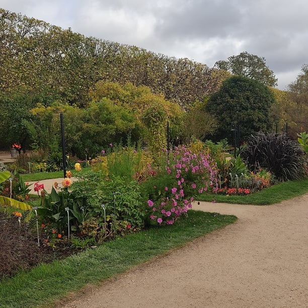 Marche nordique Jardin des plantes